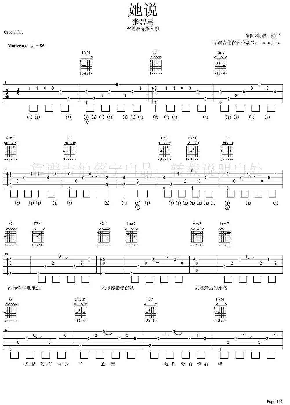 《她说》吉他教学_张碧晨版本_《她说》吉他谱（蔡宁教学） 吉他谱