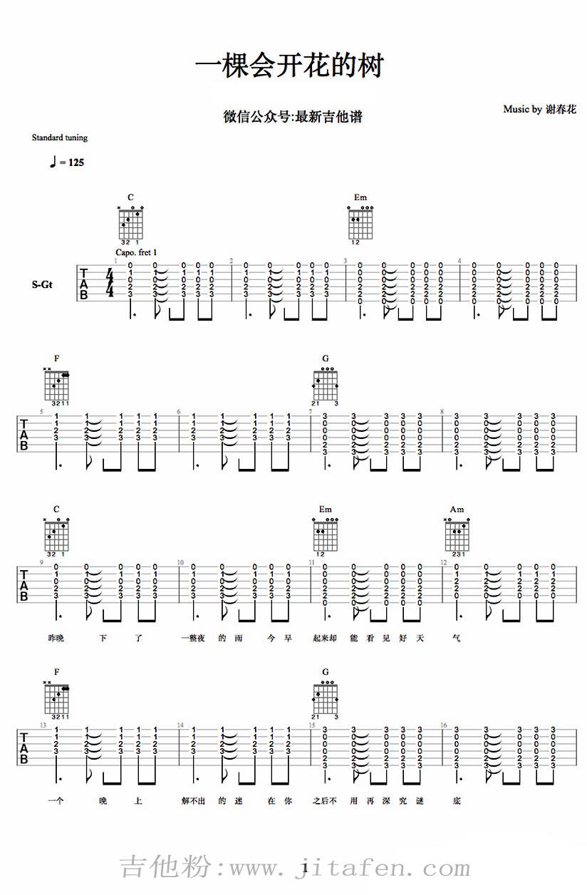 一棵会开花的树吉他谱_谢春花_弹唱谱C调 吉他谱