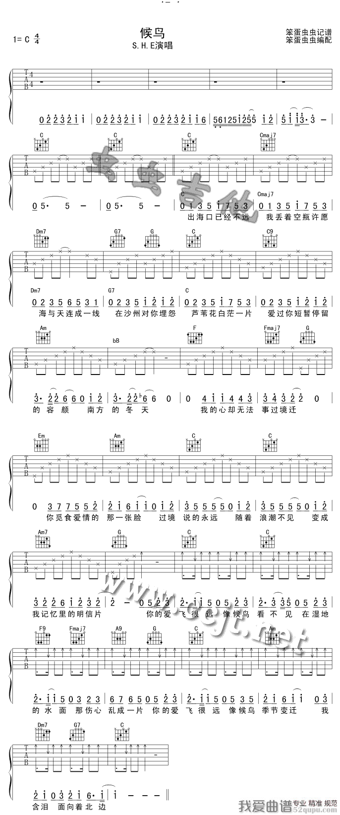 候鸟（S.H.E 演唱版） 吉他谱