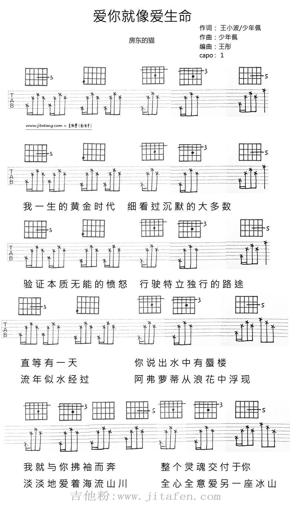 《爱你就像爱生命》吉他谱_房东的猫_六线谱 吉他谱