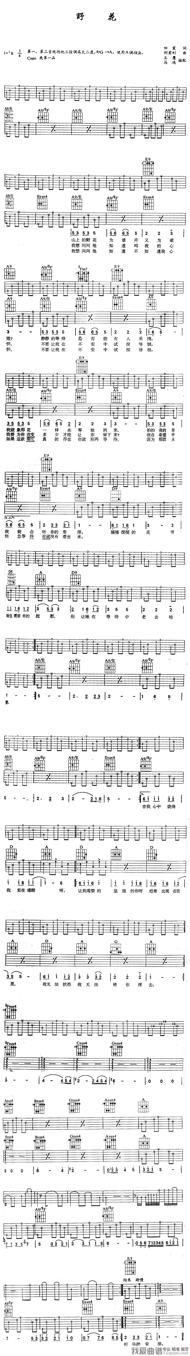 田震《野花》吉他谱/六线谱 吉他谱