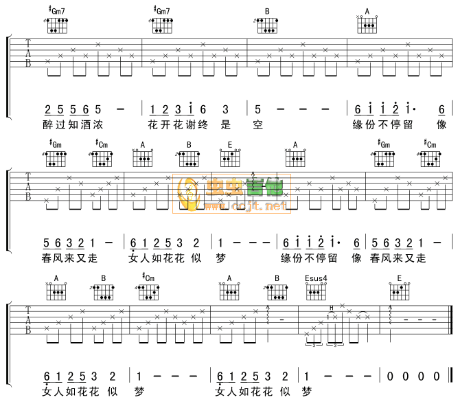 女人花 吉他谱