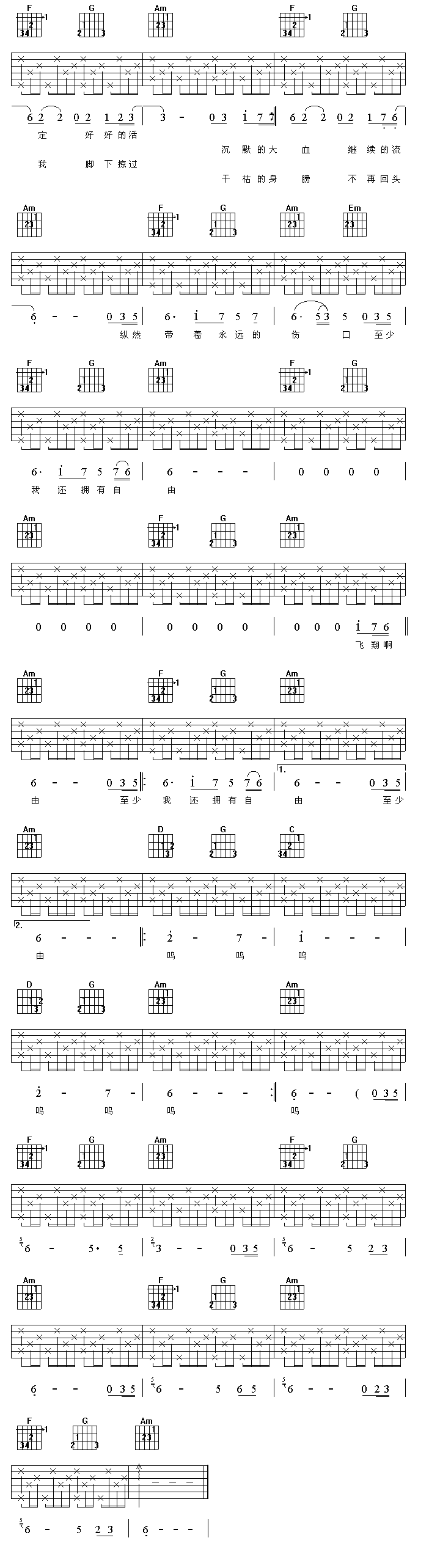 白鸽 吉他谱