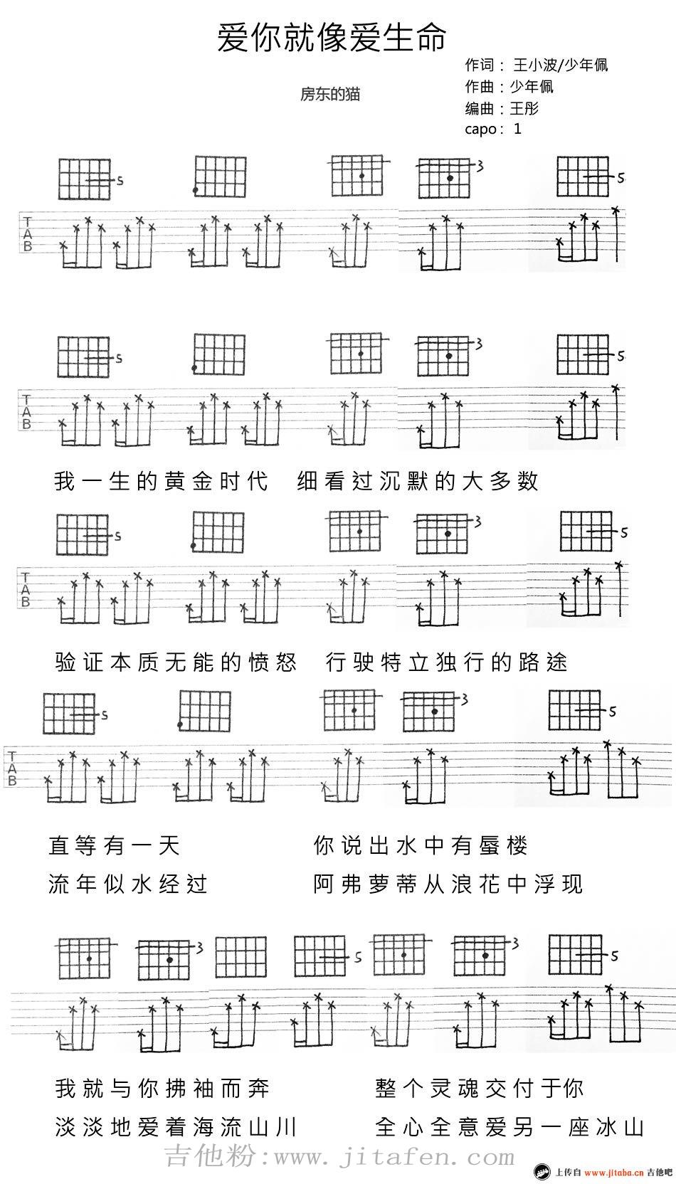 房东的猫《爱你就像爱生命》吉他谱_吉他弹唱六线谱 吉他谱