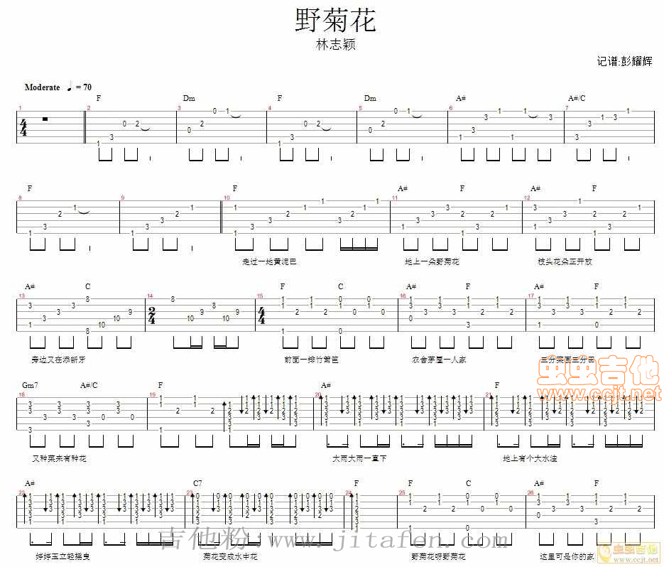 野菊花—林志颖 吉他谱