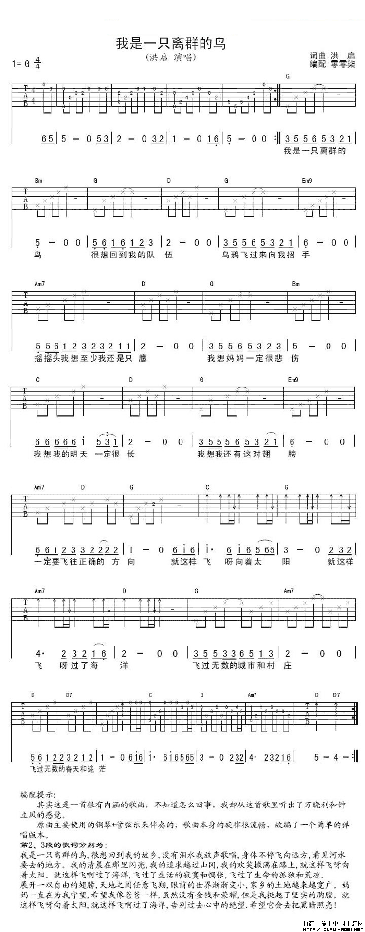 洪启《我是一只离群的鸟》吉他谱/六线谱 吉他谱