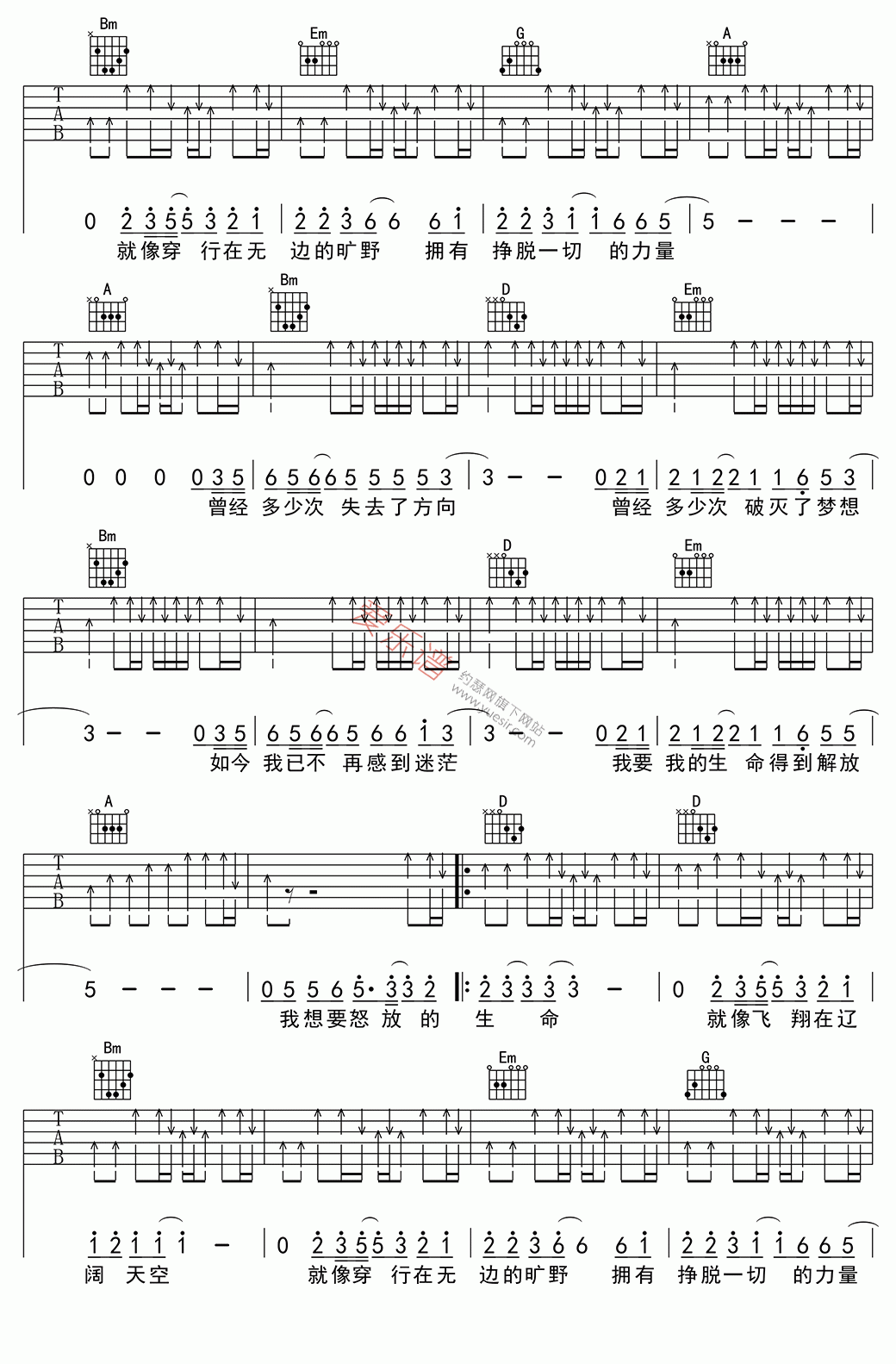 汪峰《怒放的生命》 吉他谱