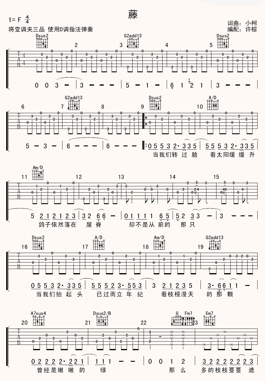 小柯《藤》 吉他谱
