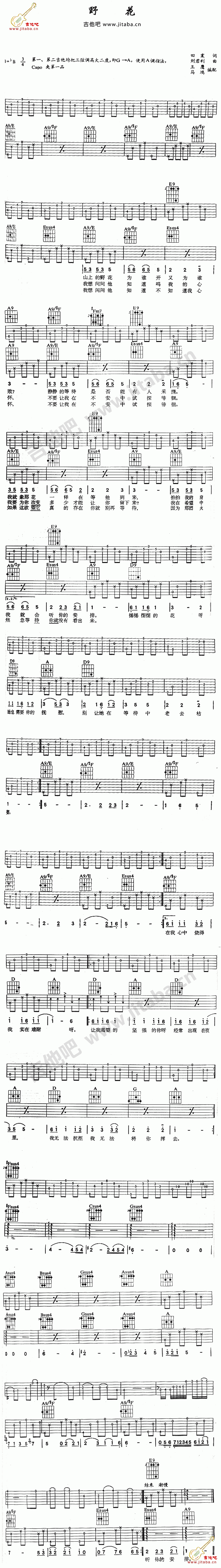 田震《野花》吉他谱  吉他谱