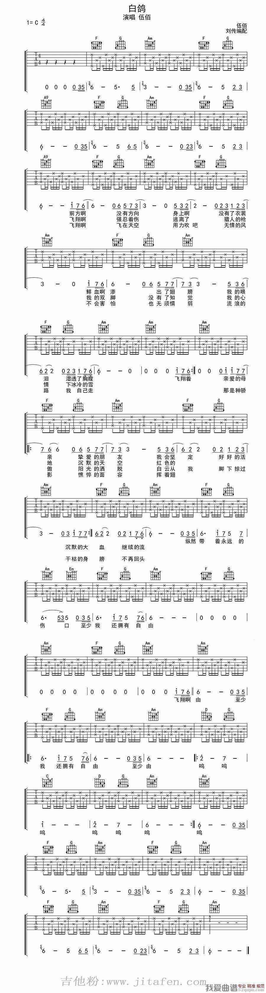 白鸽 吉他谱