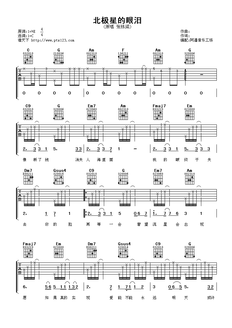 张栋梁 北极星的眼泪 吉他谱