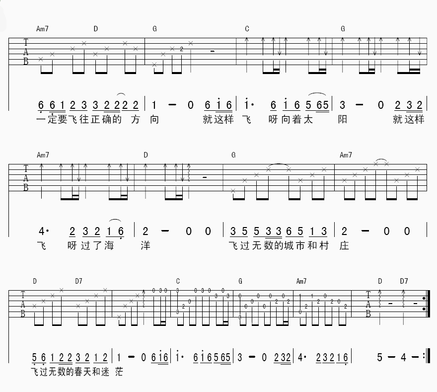 洪启 我是一只离群的鸟 吉他谱