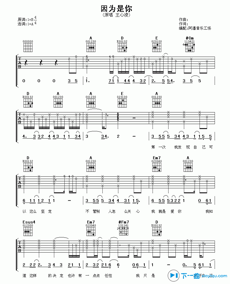 因为是你吉他谱D调_王心凌因为是你六线谱 吉他谱
