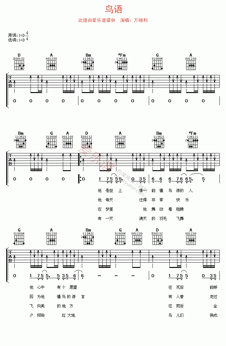 万晓利《鸟语》 吉他谱