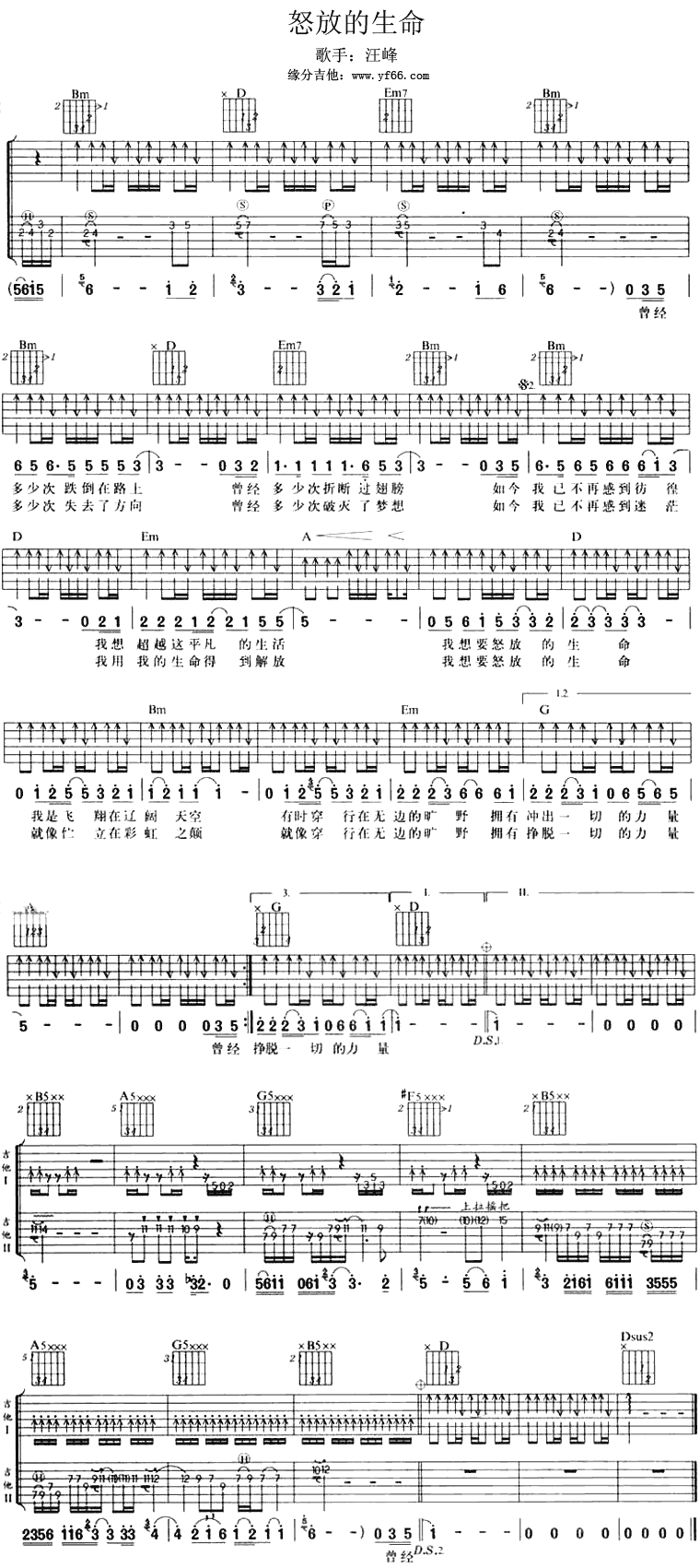 怒放的生命 吉他谱