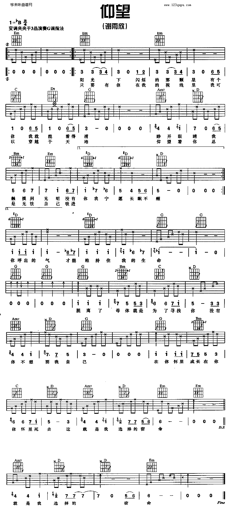 仰望(谢雨欣) 吉他谱