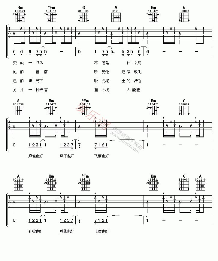 万晓利《鸟语》 吉他谱