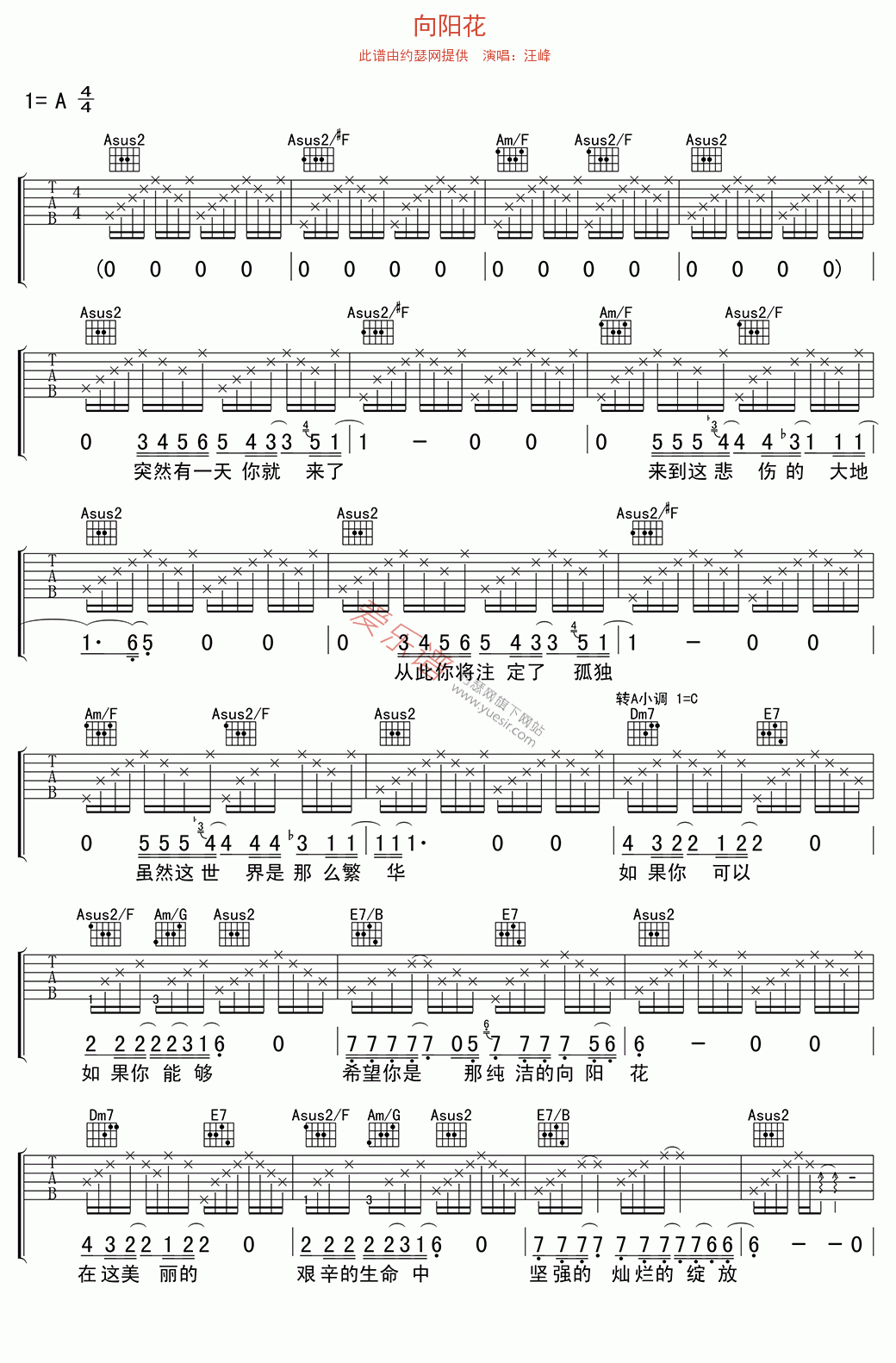 汪峰《向阳花》 吉他谱