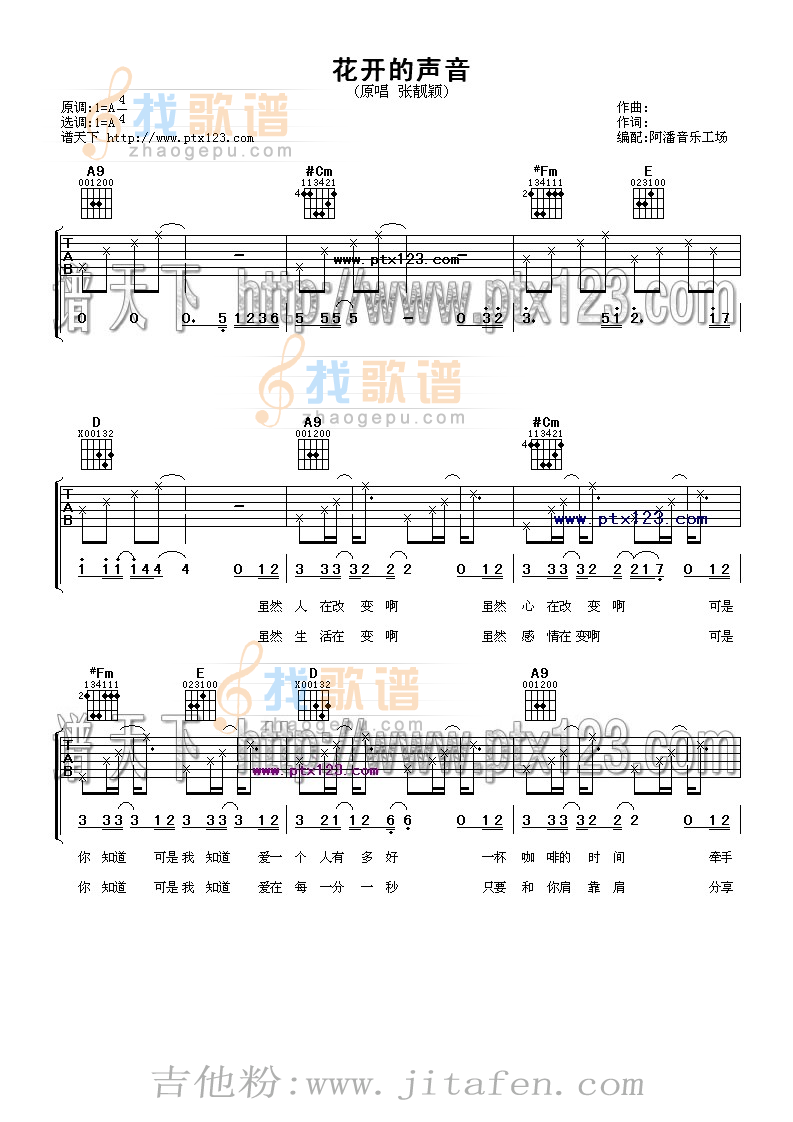 花开的声音 吉他谱