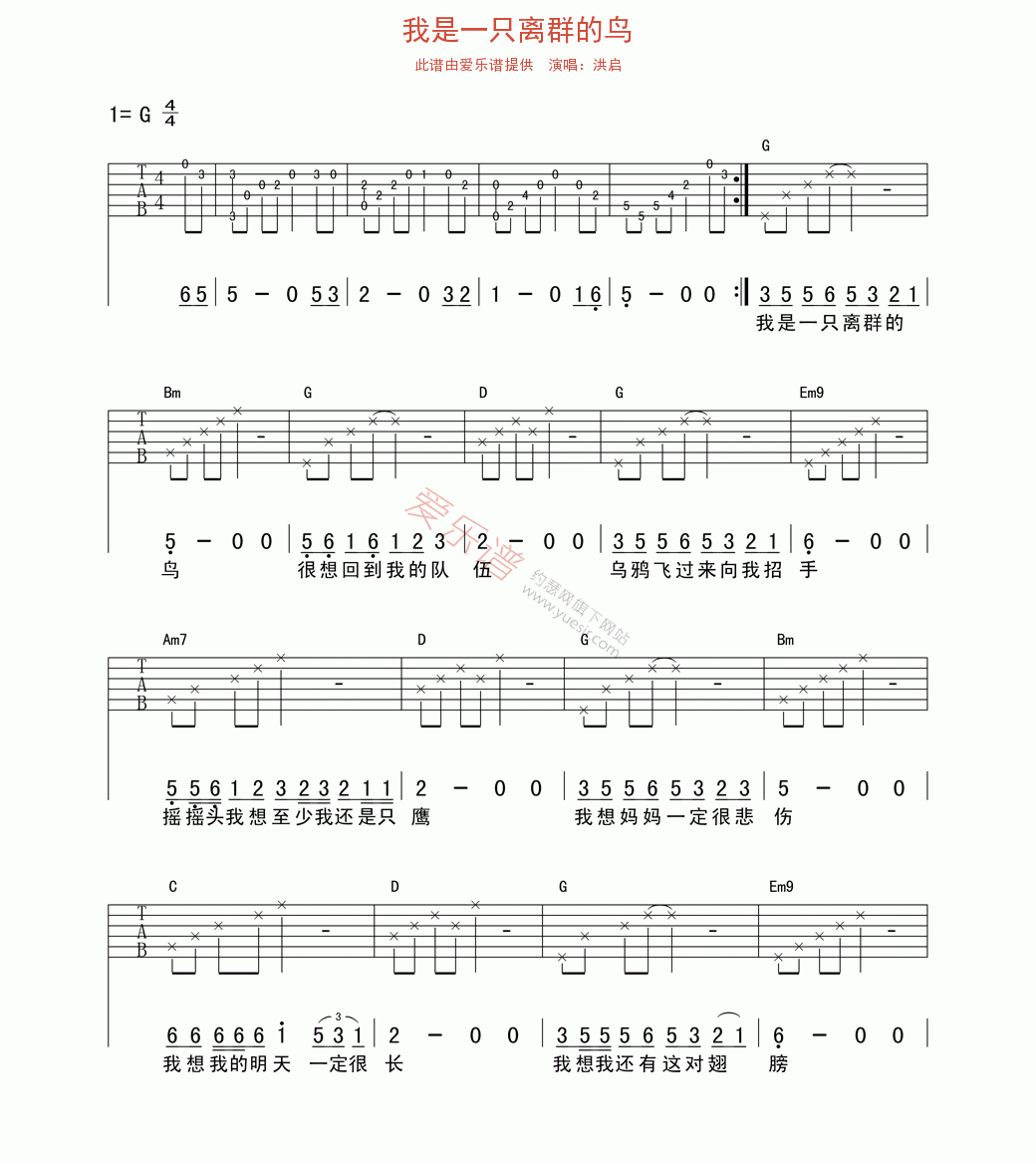 洪启《我是一只离群的鸟》 吉他谱