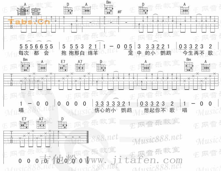 伤心的小鹦鹉 演唱会版 吉他谱