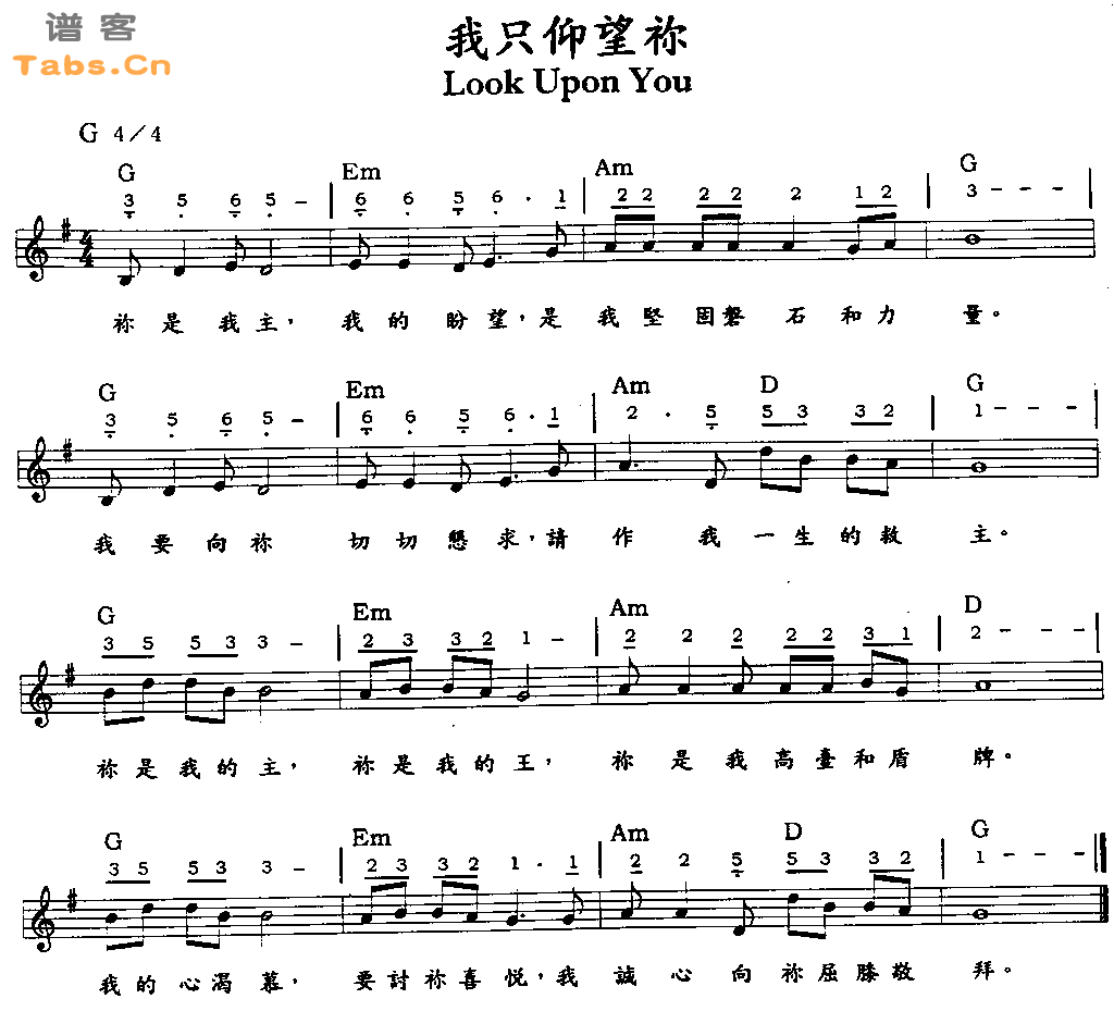 我只仰望你   吉他谱