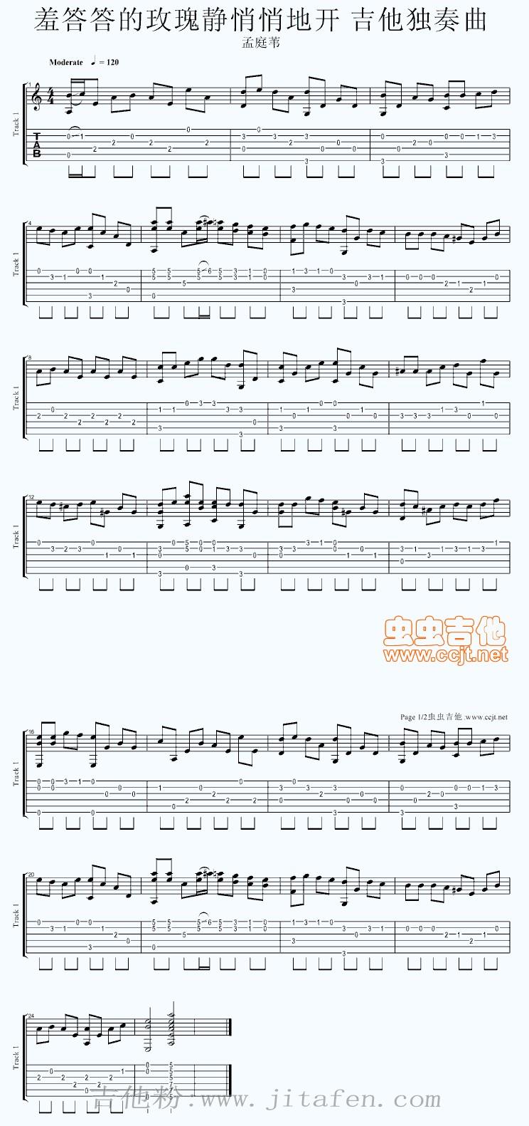 羞答答的玫瑰静悄悄地开独奏曲 吉他谱
