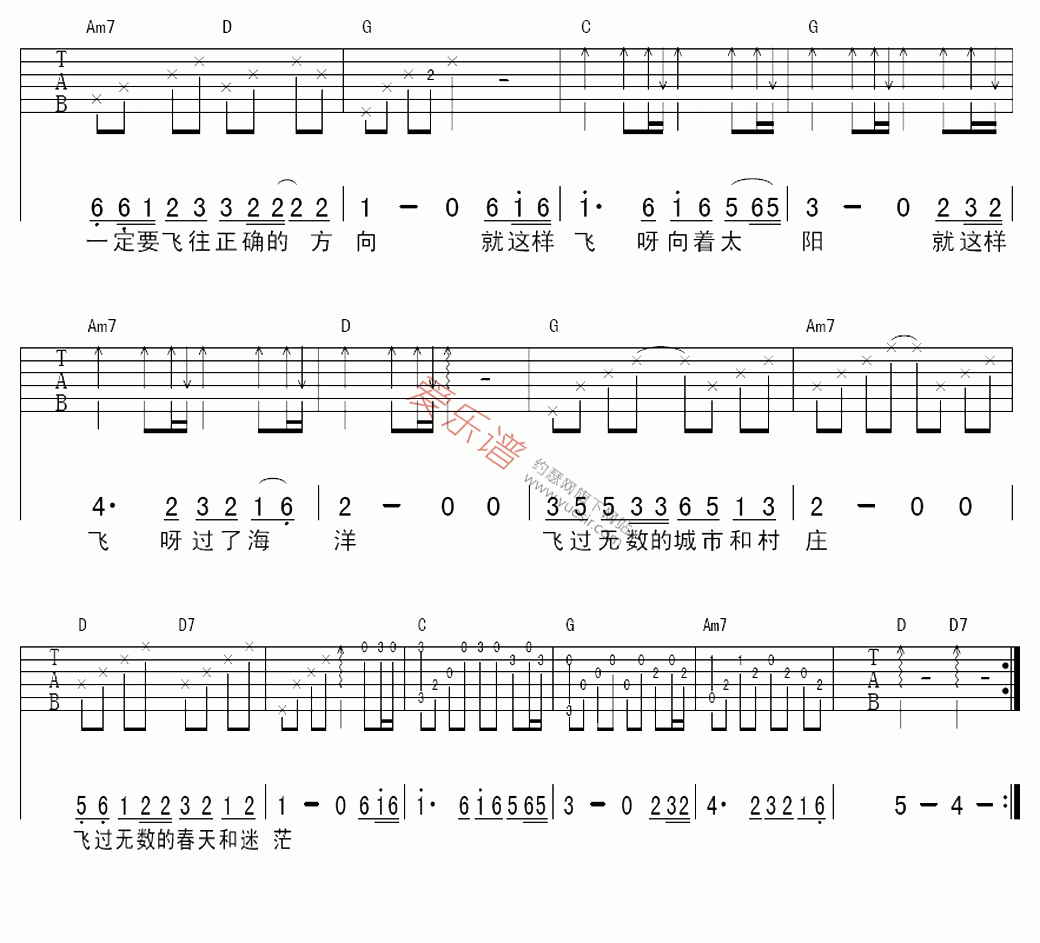 洪启《我是一只离群的鸟》 吉他谱