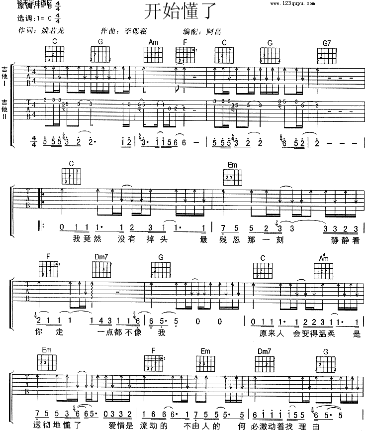 开始懂了 (孙燕姿) 吉他谱