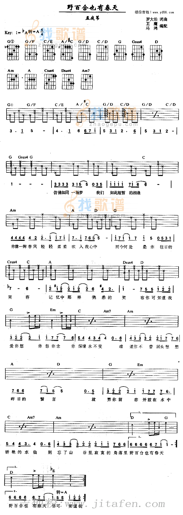 野百合也有春天 吉他谱