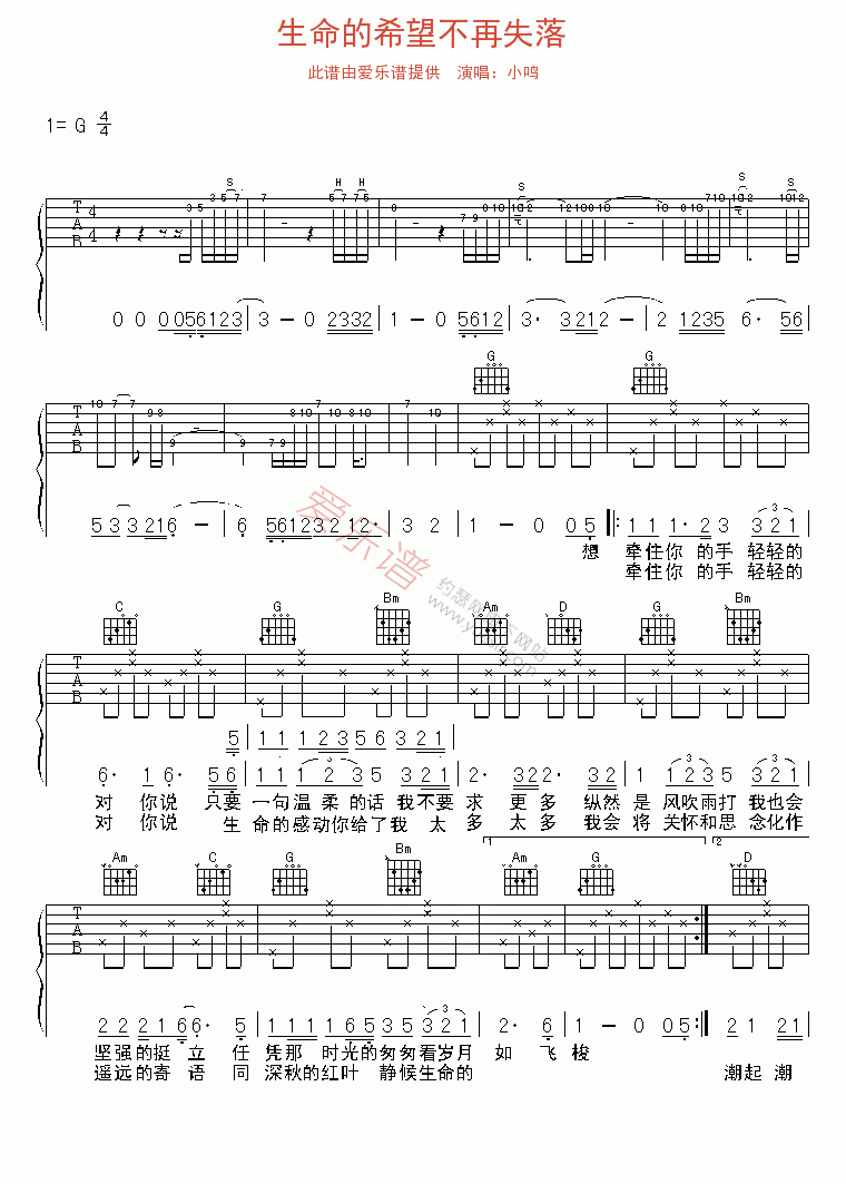 小鸣《生命的希望不再失落》 吉他谱