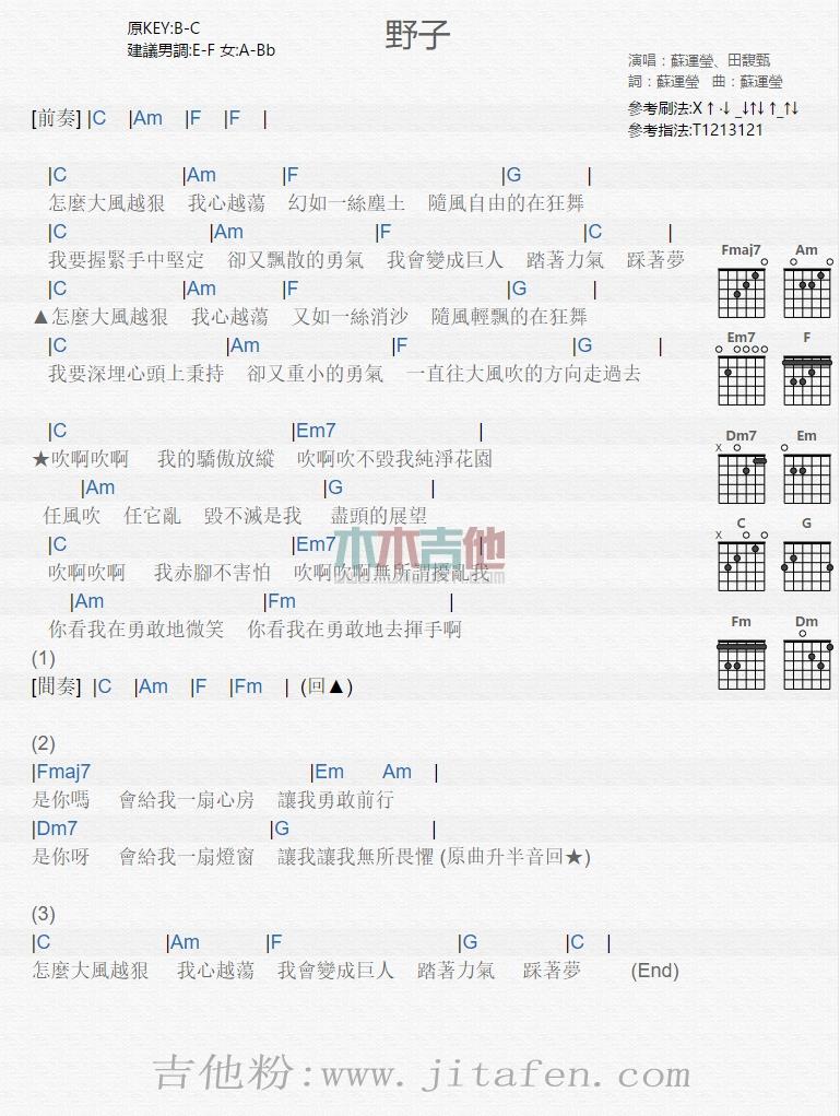野子 吉他谱