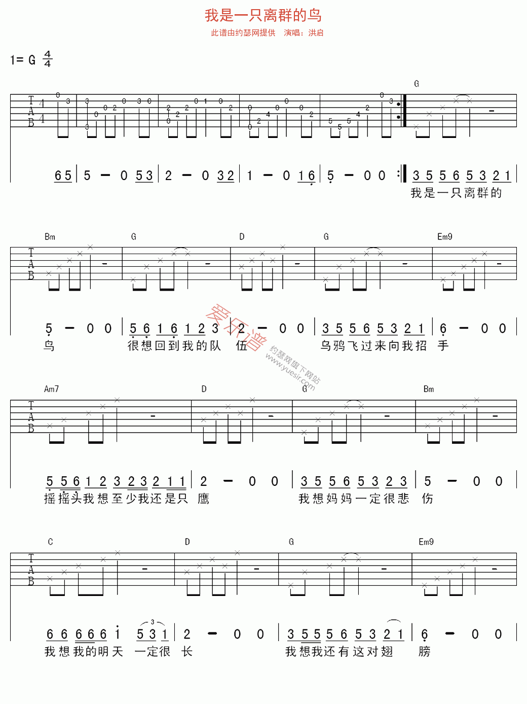 洪启《我是一只离群的鸟》 吉他谱
