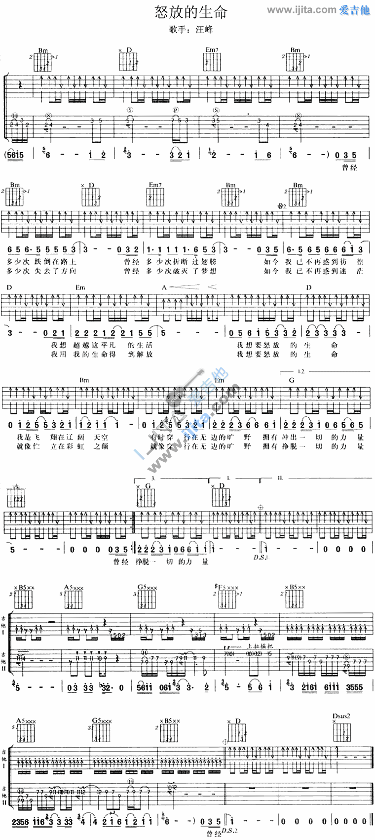 怒放的生命 吉他谱