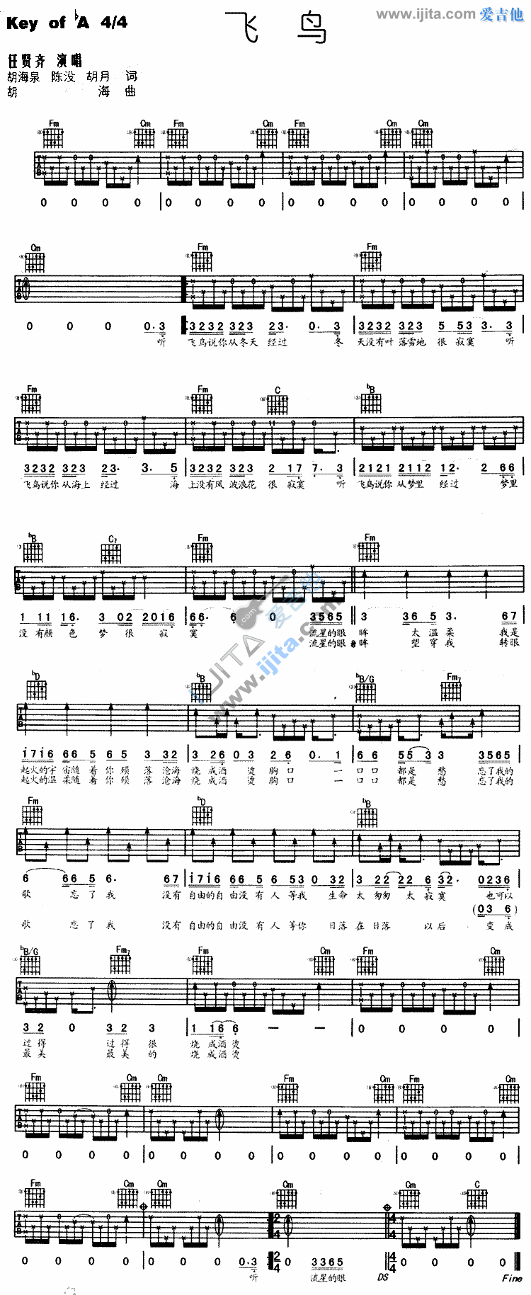 飞鸟 吉他谱