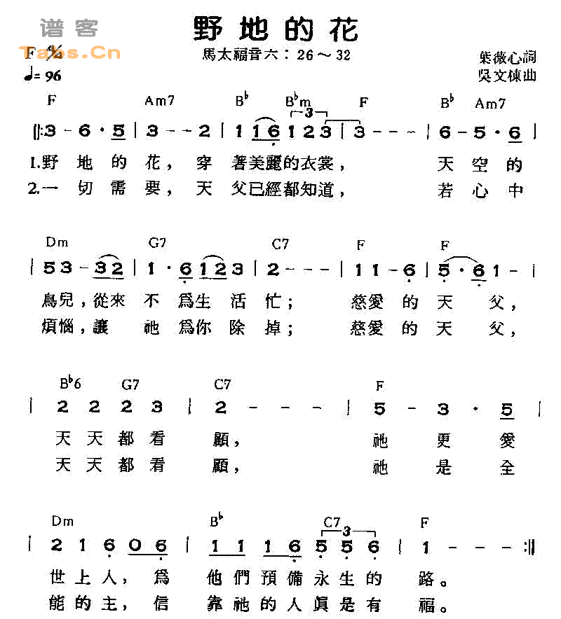 野地的花 VER1 吉他谱