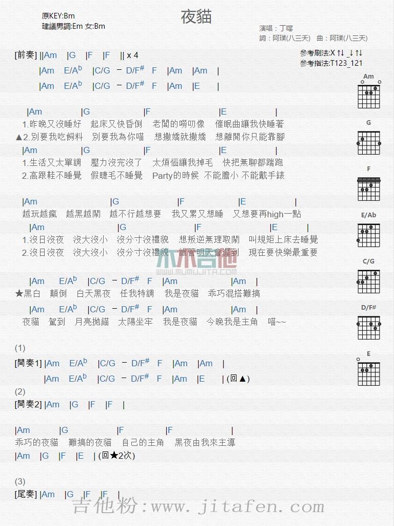 夜猫 吉他谱