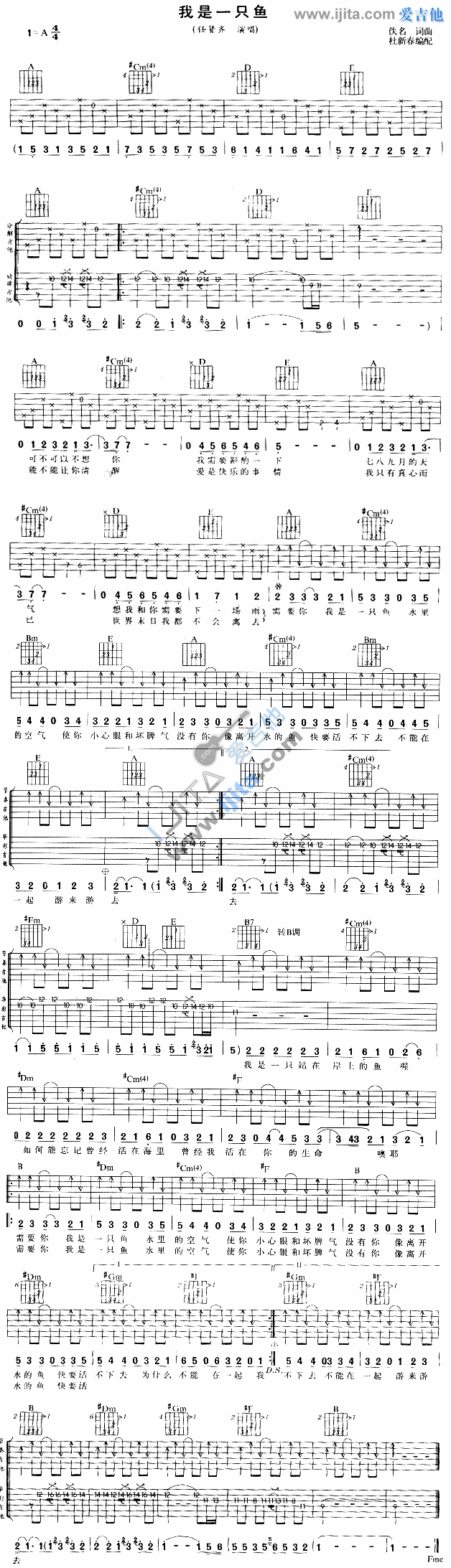 我是一只鱼 吉他谱
