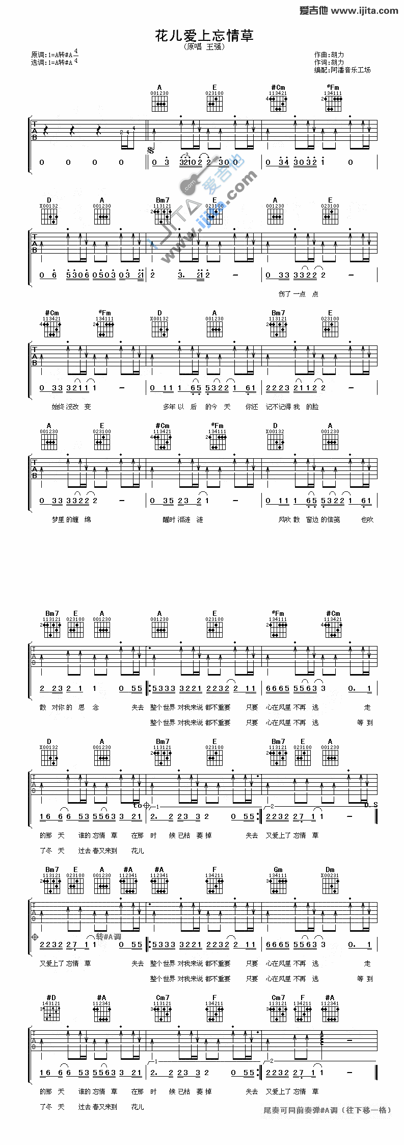 花儿爱上忘情草 吉他谱
