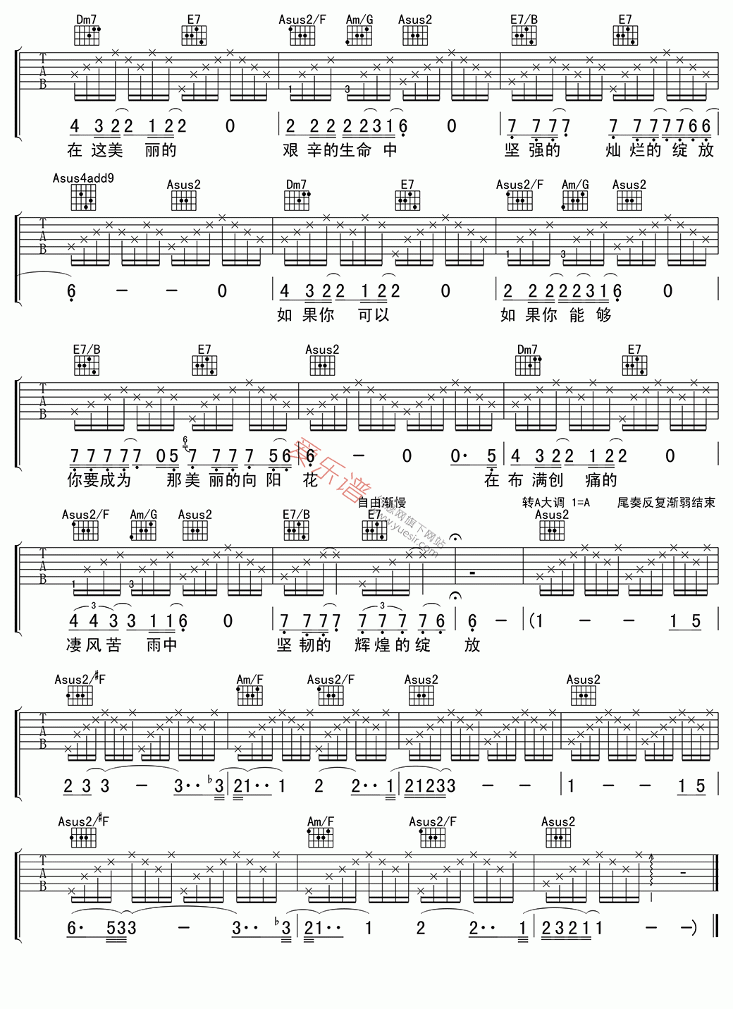 汪峰《向阳花》 吉他谱