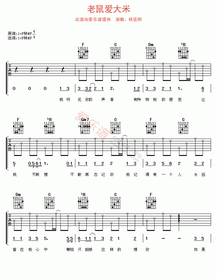 杨臣刚《老鼠爱大米》 吉他谱