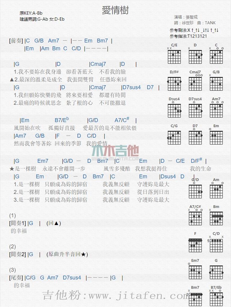 爱情树 吉他谱