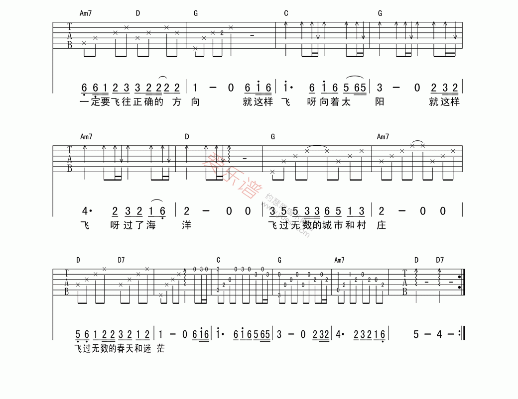 洪启《我是一只离群的鸟》 吉他谱