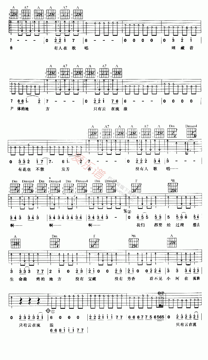 冷血动物《埋藏宝藏的地方》 吉他谱