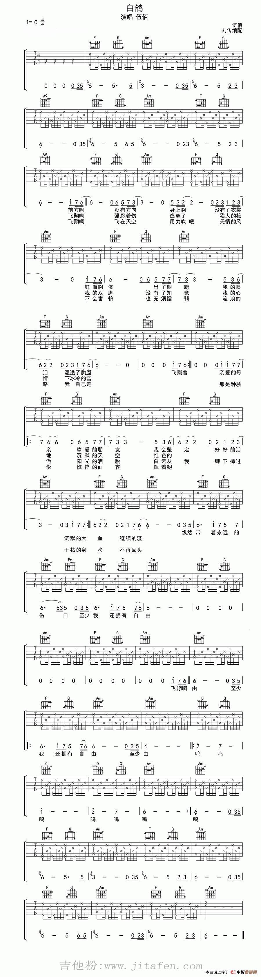 白鸽 吉他谱