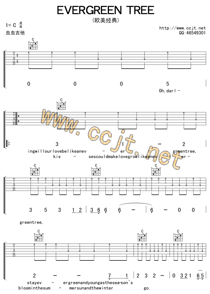 evergreen tree 吉他谱