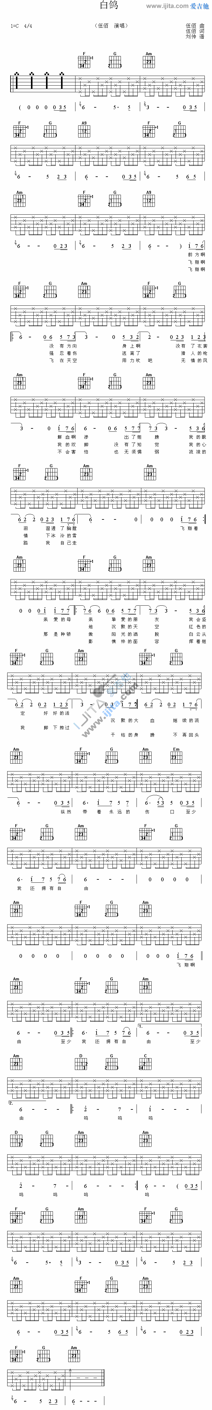 白鸽 吉他谱