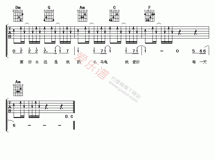 张栋梁《小乌龟》 吉他谱