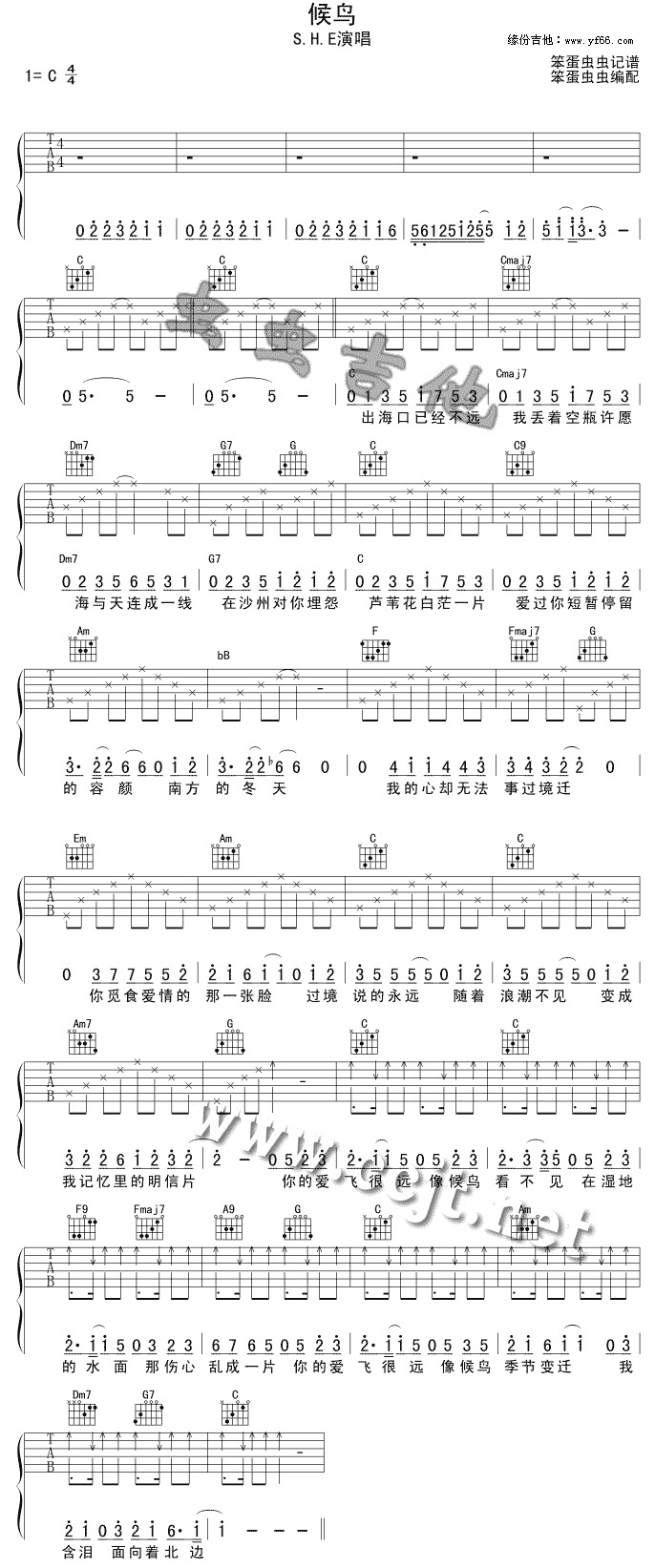 候鸟吉他--S.H.E 吉他谱