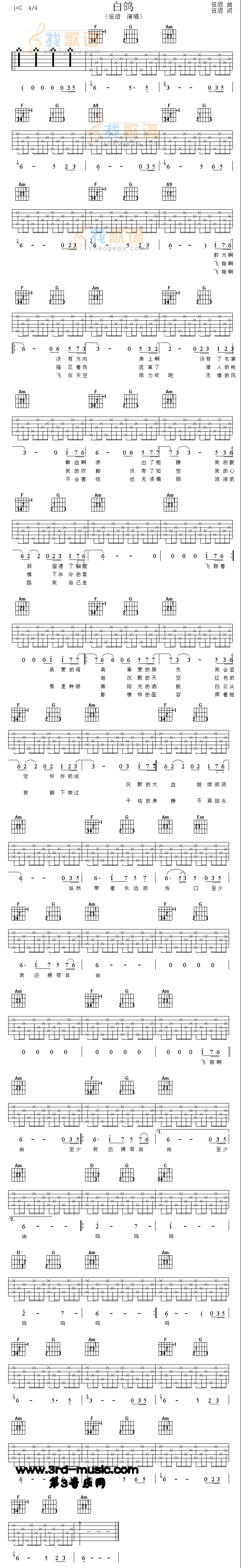 白鸽 吉他谱